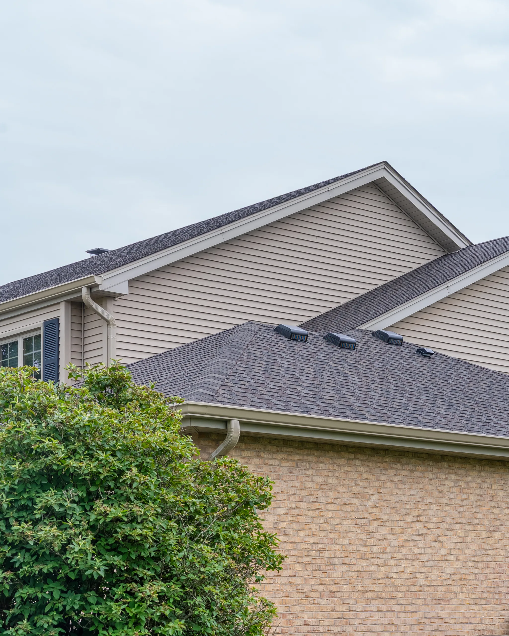 Gabled rooflines with dimensional asphalt shingles and black roof vents above a brick wall and green shrub